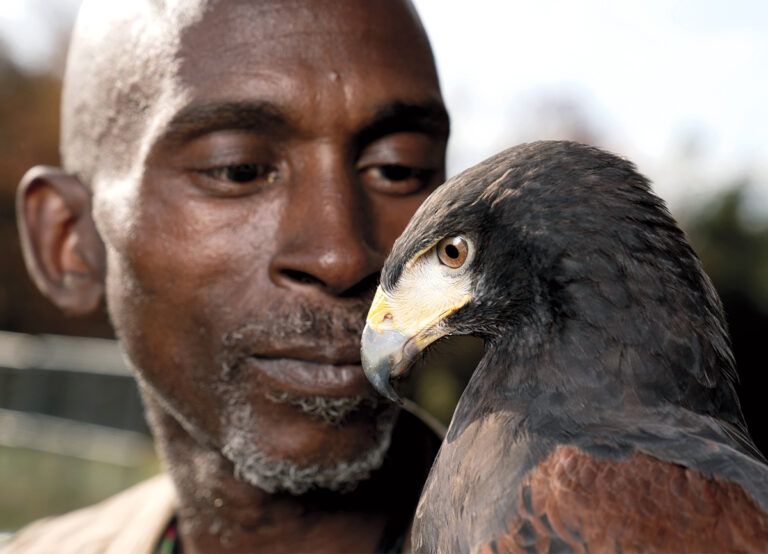 Rodney Stotts with one of his birds; photo by James Kegley
