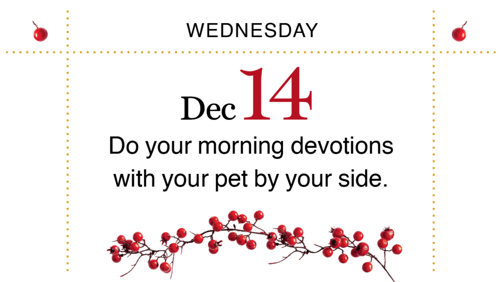 Advent, Day 18: Do your morning devotion with your pet beside you.