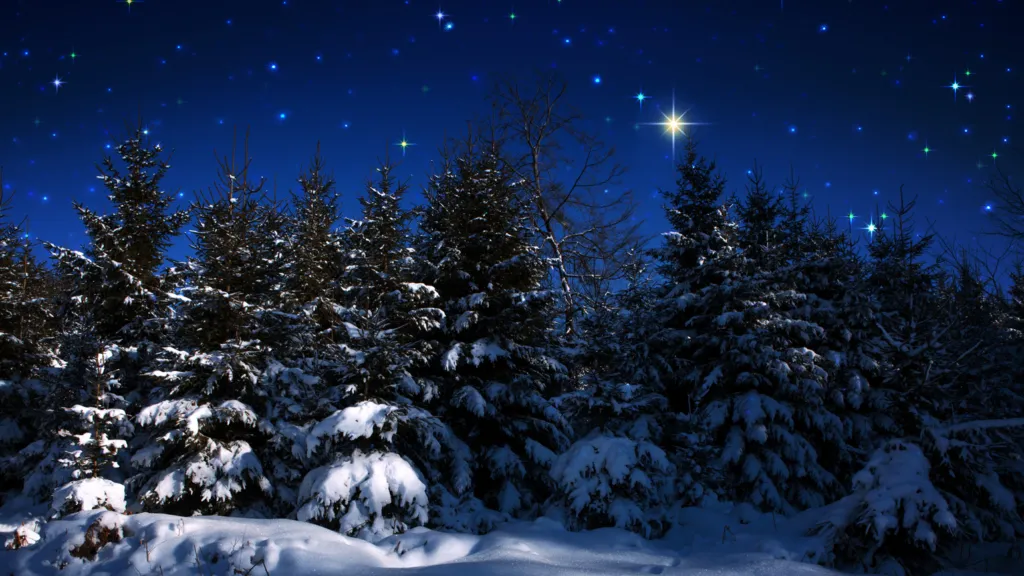 Christmas background with stars and trees in winter forest.