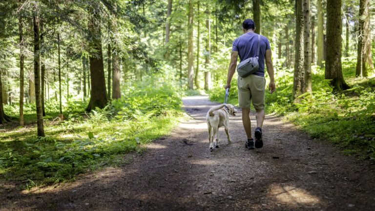Man walking his dog on a path in the foods for a new year new habit