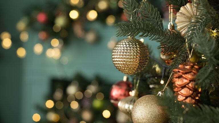 Lights twinkle on a Christmas tree