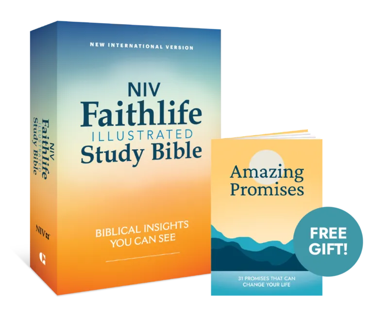 NIV Faithlife Illustrated Study Bible-26053