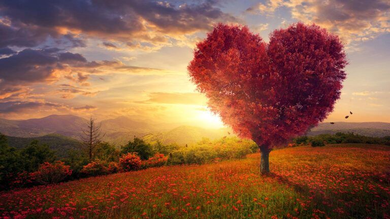 A heart-shaped tree at sunset; Getty Images
