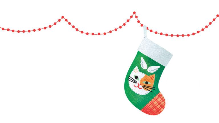 Illustration of a Christmas stocking; By Clare Owen