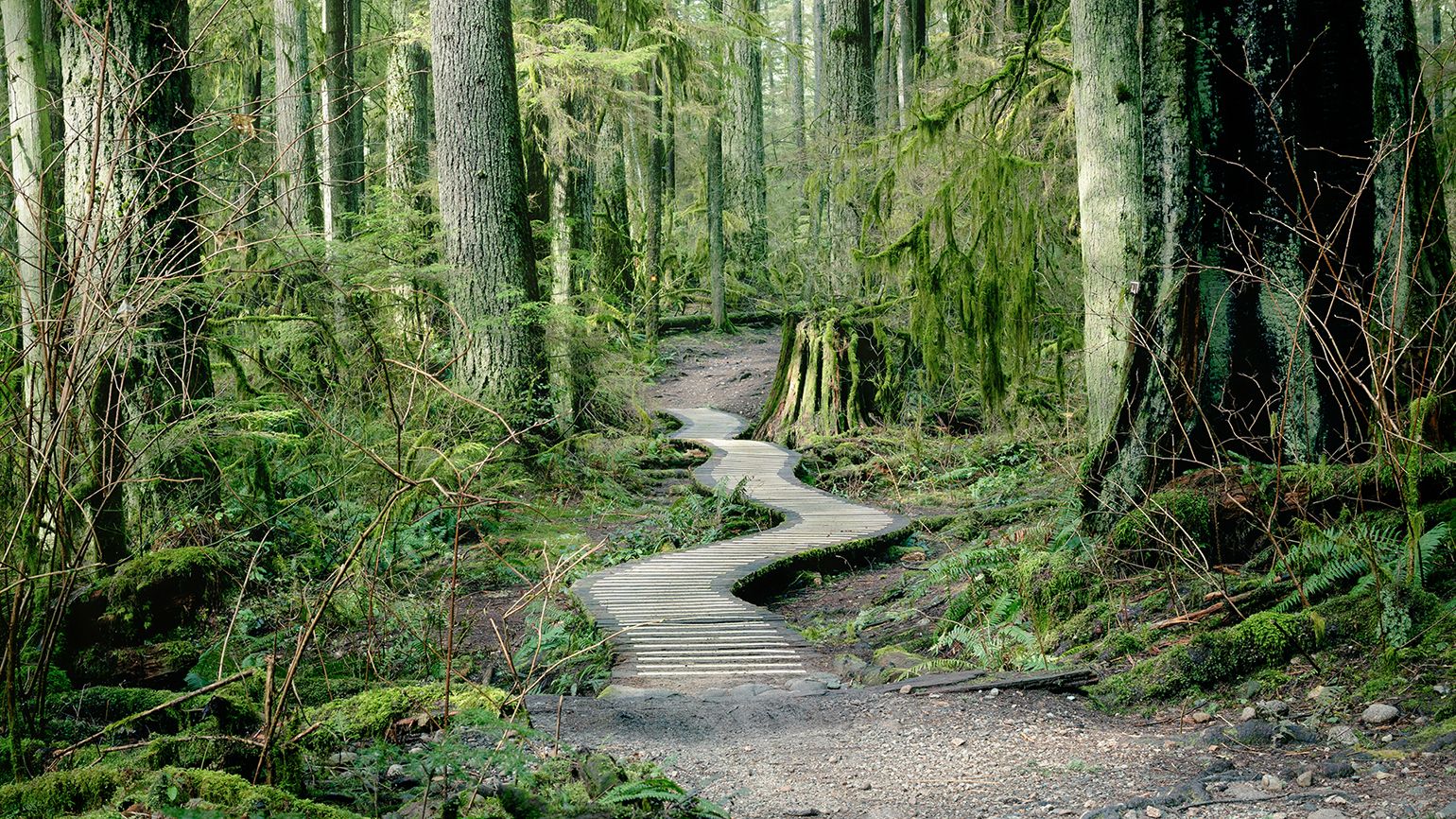 A crooked rural path