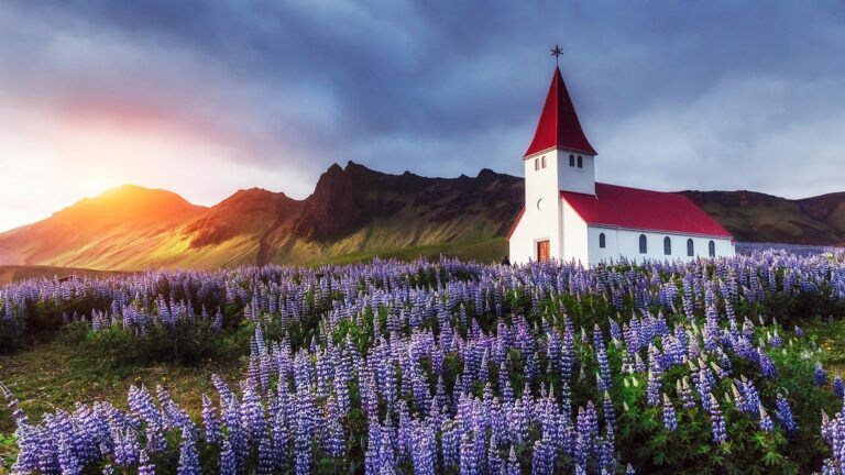 Church in a lavender field during Lenten season; Getty Images
