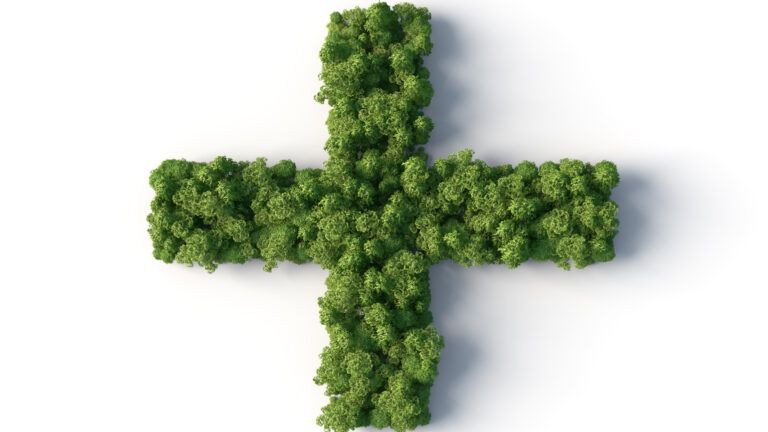 A green cross to signify a green Lent