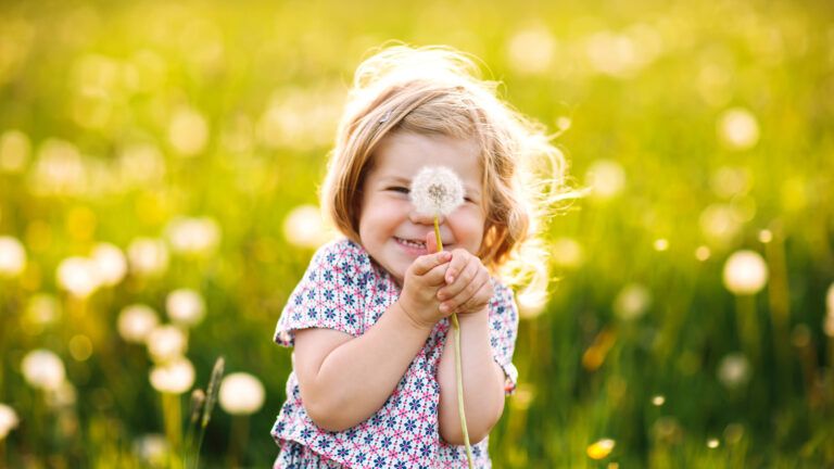 Child holding a dandelion