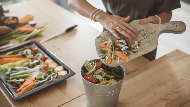 Compost vegetable and fruit peelings