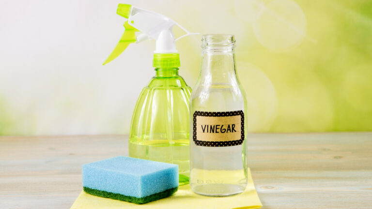 Eco-friendly cleaning supplies for a green Lent