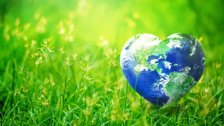 Eco-friendly tip: set an intention to help our planet.