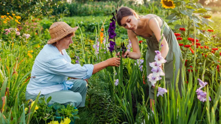 Two women gardening together