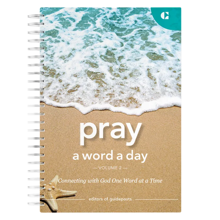 Pray a Word a Day Volume 2-0