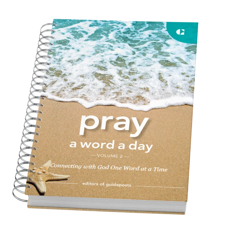 Pray a Word a Day Volume 2-24885