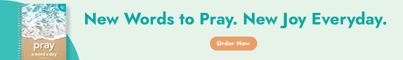 Pray a Day Vol 2 In Article Ad