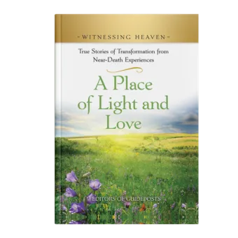 Witnessing Heaven Book 12: A Place of Light and Love-0