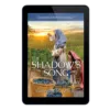 Extraordinary Women of the Bible Book 15 - The Shadow Song: Mahlah & Noah's Story-29498