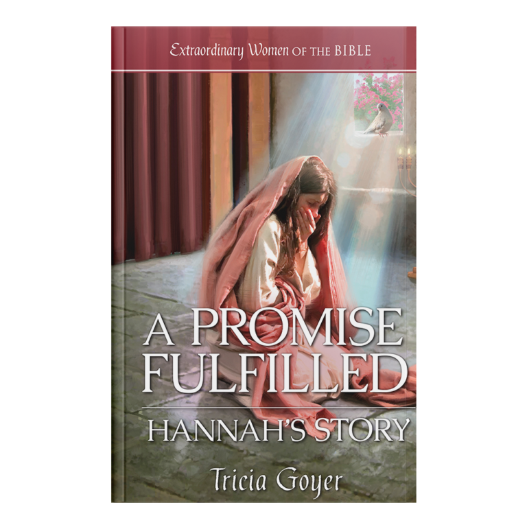 Extraordinary Women of the Bible Book 18 - A Promise Fulfilled: Hannah's Story-0