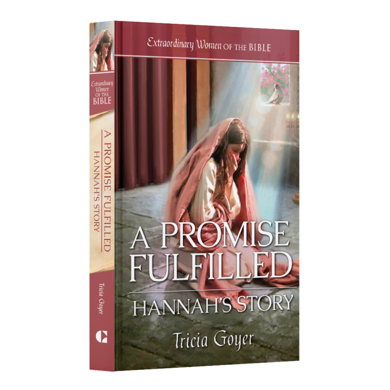 Extraordinary Women of the Bible Book 18 - A Promise Fulfilled: Hannah's Story-30086