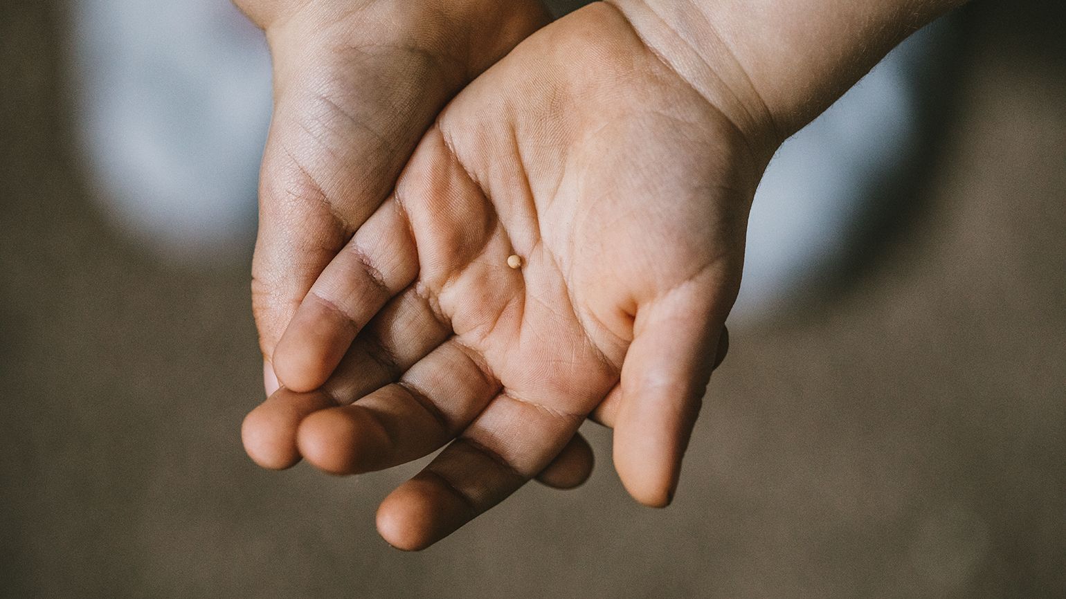 Royalty-free stock photo: A mustard seed resting in a child's palm