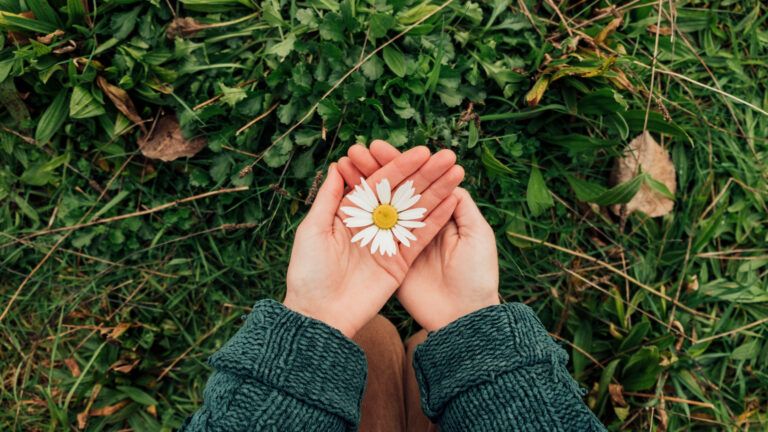 Woman holding a daisy in the palms of her hands as a sign of comfort from beyond.