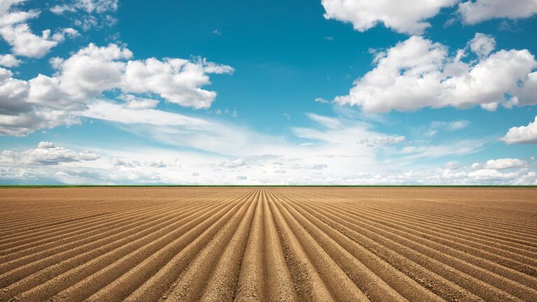 Royalty-free stock image: A freshly plowed field; Getty Images