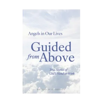 Angels in Our Lives Book 3: Guided from Above